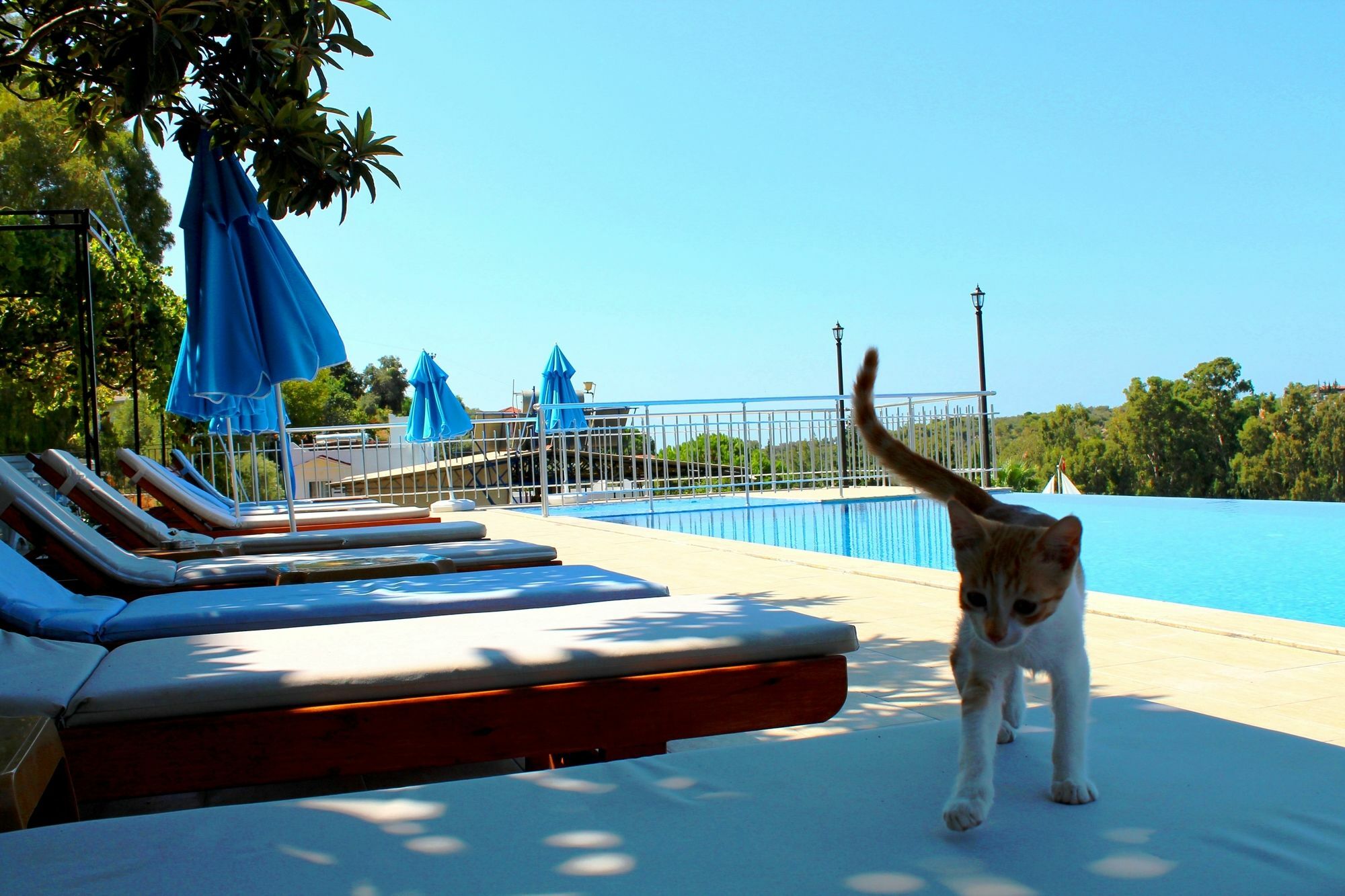 Hotel Patara Sun Club Екстериор снимка